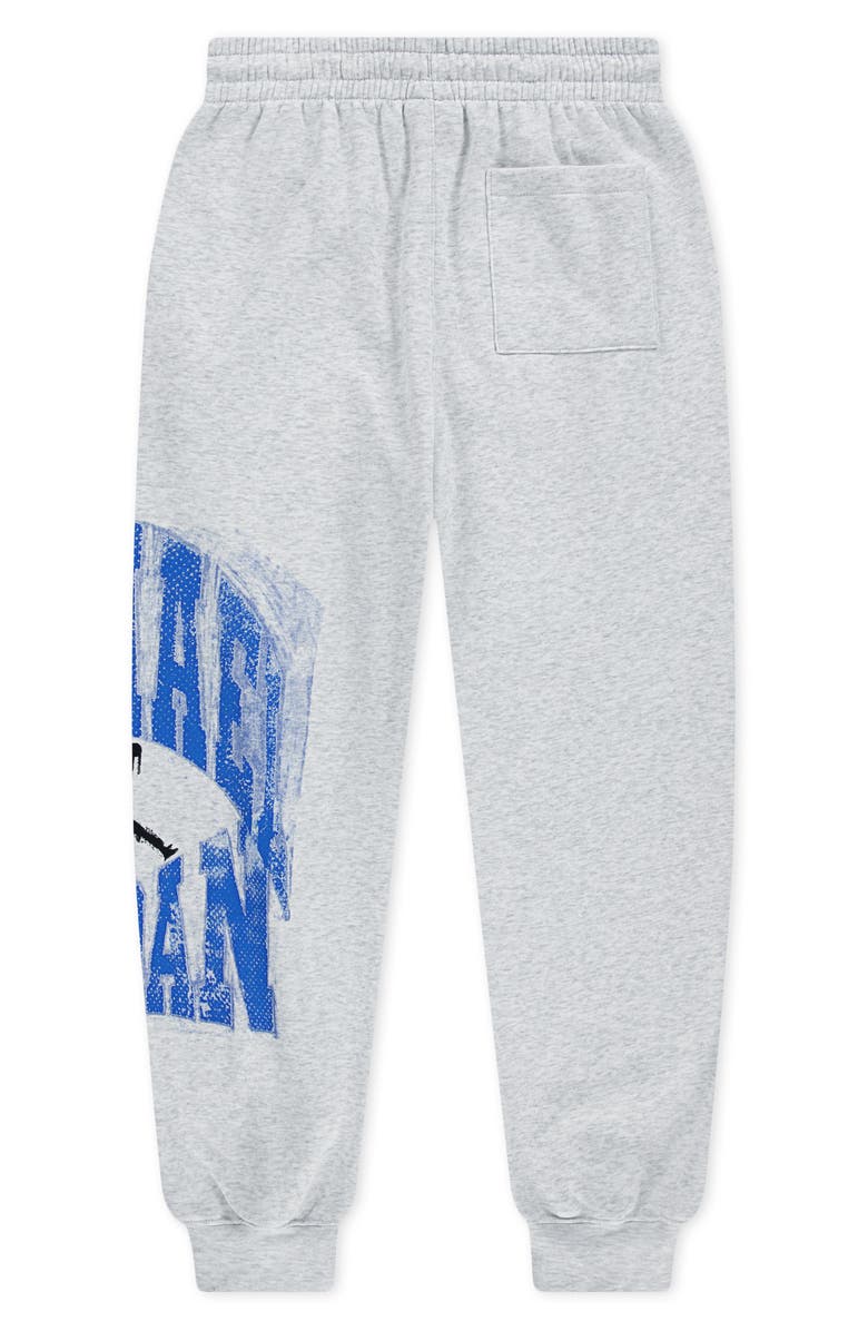 Jordan Kids' Jumpman Fleece Graphic Joggers, Alternate, color, Birch Heather