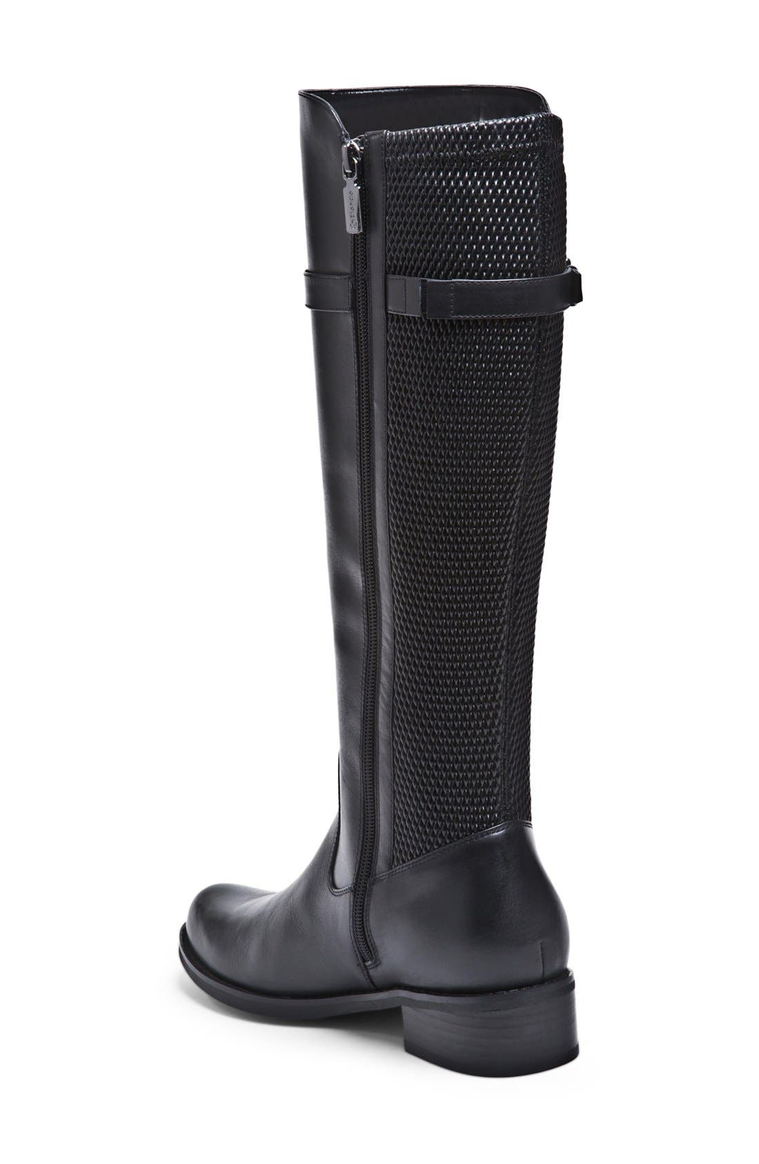 Blondo 'Viva' Waterproof Tall Boot, Alternate, color, 