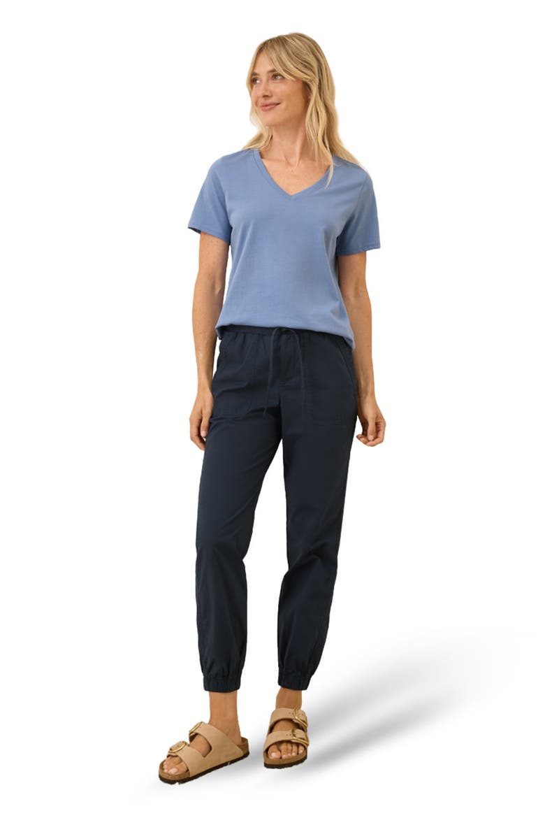 Organic Cotton Softspun V-Neck Tee, Main, color, Hydrangea Blue