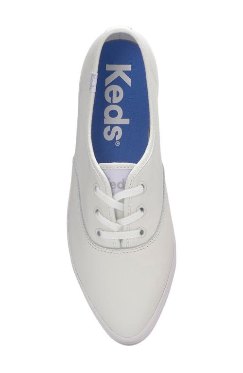Shop Keds ® Point Sneaker In  White