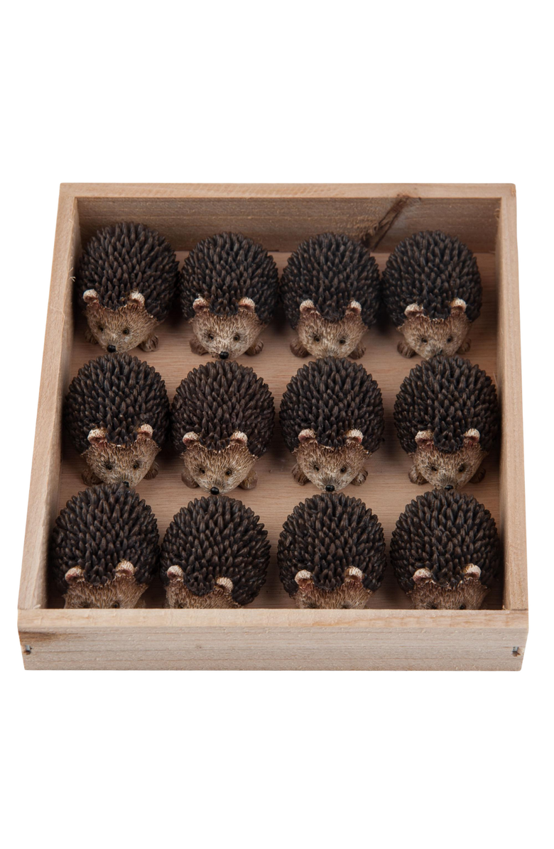 Transpac Resin 13.75 in. Brown Spring Hedgehogs Set of 12 In Box, Main, color, Brown