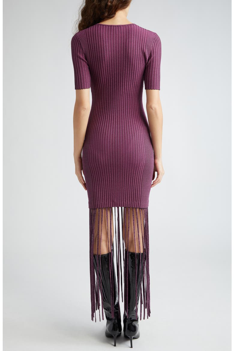 Melange Rib Fringe Detail Knit Dress, Alternate, color, FIJI FLOWER