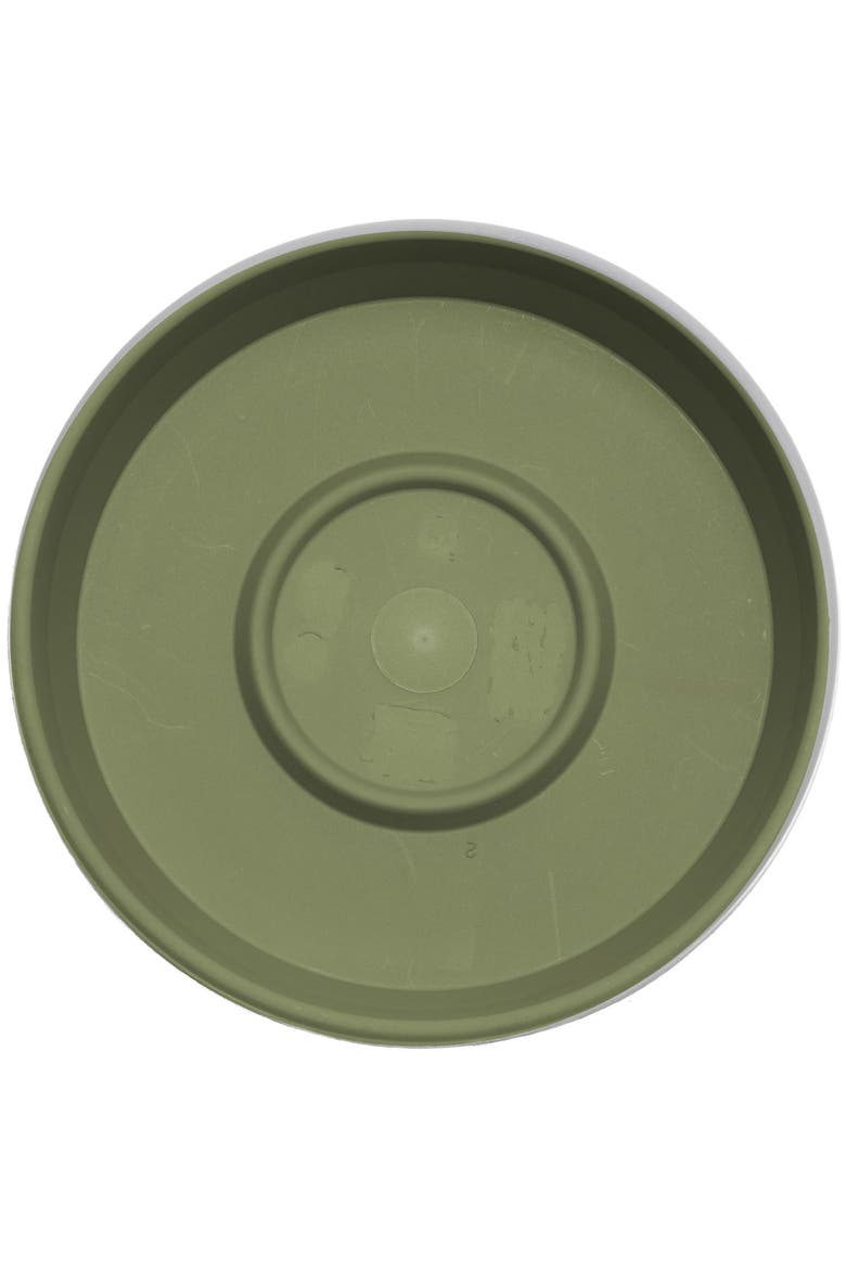 Terra 17 Inch Resin Saucer, Alternate, color, Green