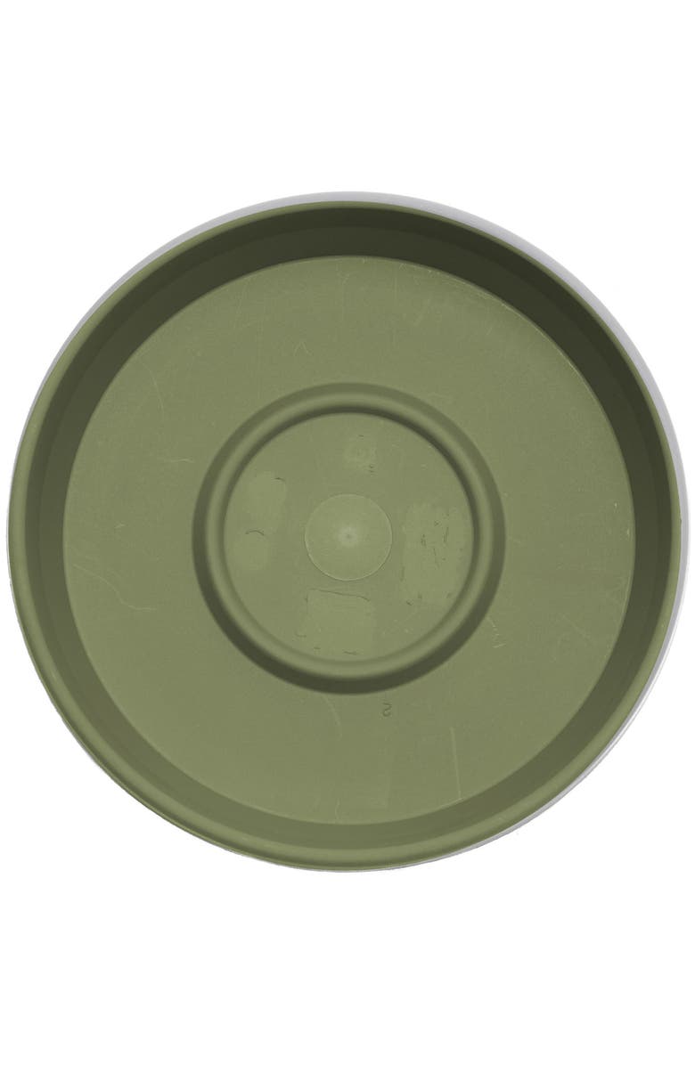 Bloem Terra 17 Inch Resin Saucer, Alternate, color, Green