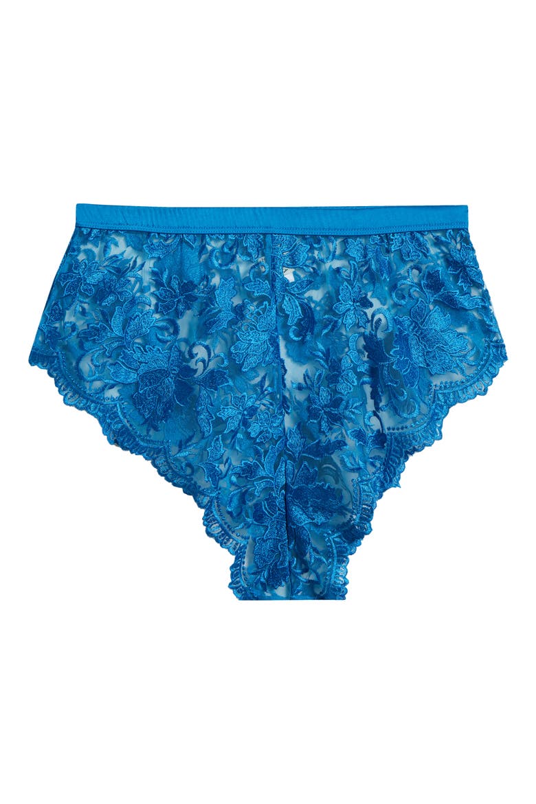 Embroidered Mesh Tap Boyshorts, Alternate, color, BLUE