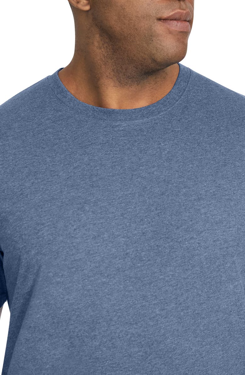 Johnny Bigg Essential Crewneck T-Shirt, Alternate, color, 