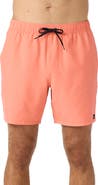 O'Neill Lennox Hermosa Swim Trunks