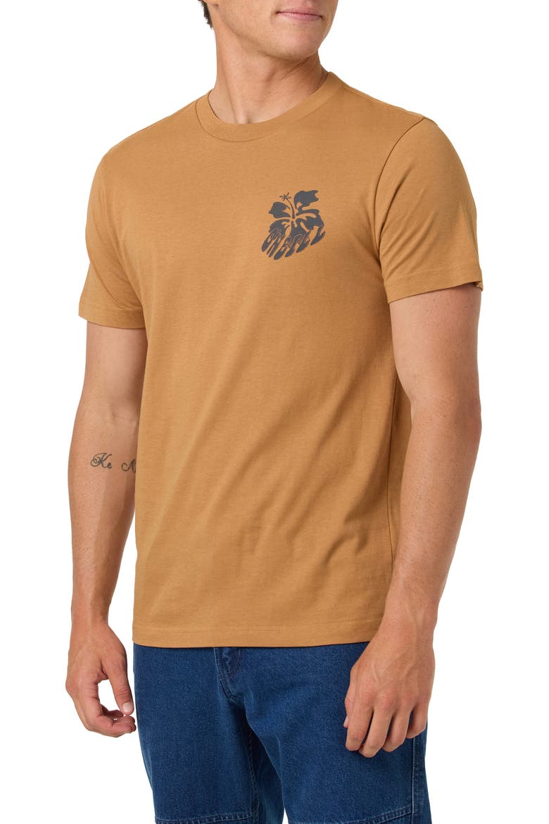 Hibis Classic Cotton Graphic T-Shirt, Alternate, color, WOODSHACK
