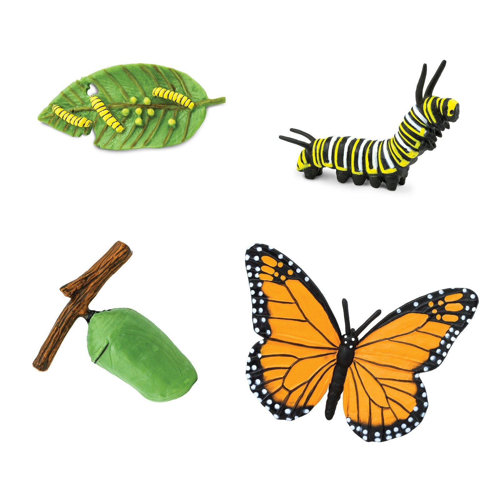 Safari Ltd. Life Cycle Of A Monarch Butterfly | Nordstrom