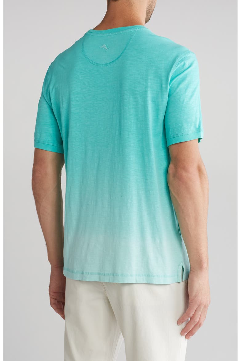 Coco Cloud Cotton T-Shirt, Alternate, color, KOHALA TEAL