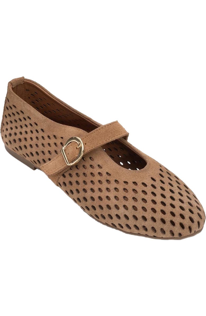 Forever & Always Shoes Arian Leather Ballet Flat, Alternate, color, Cognac Leather