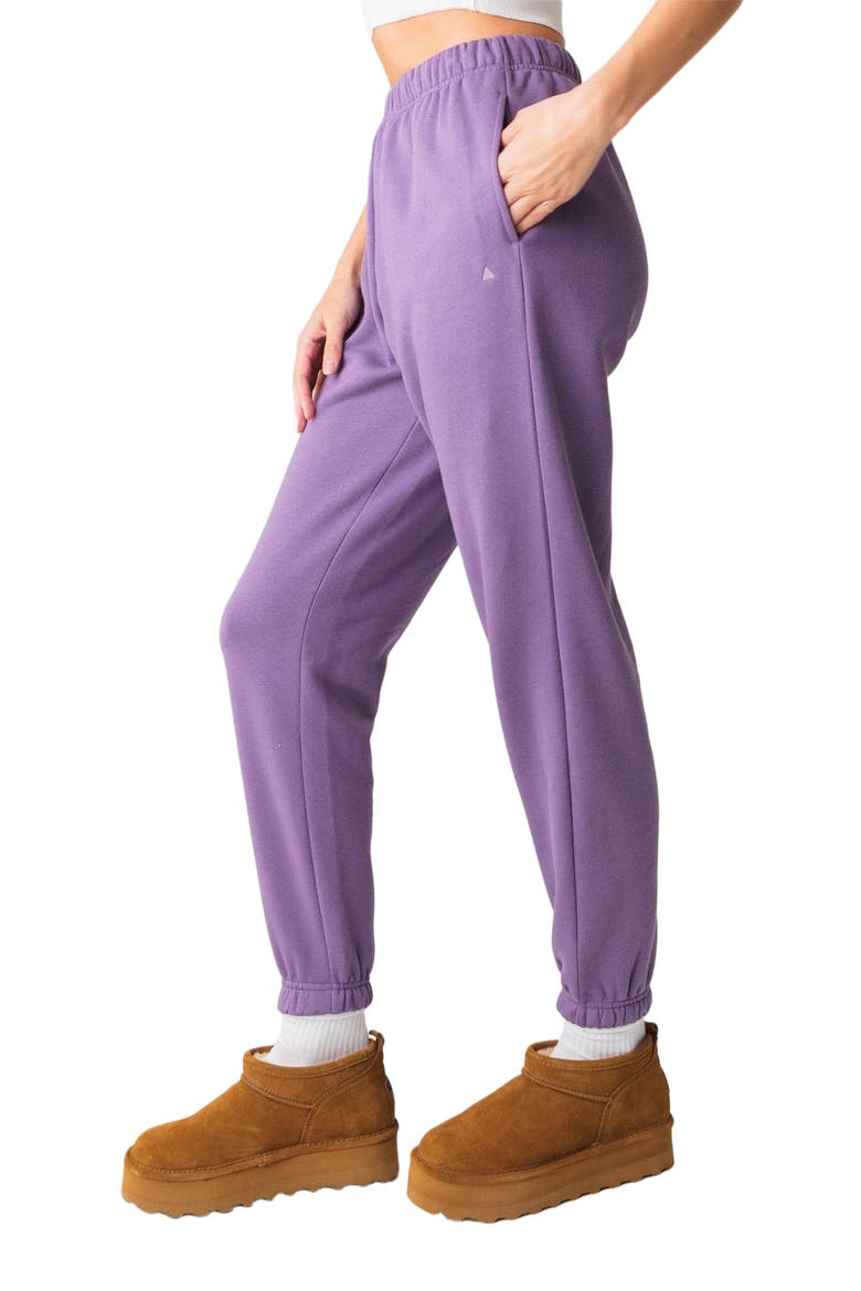 Cozy Uni Jogger, Alternate, color, violet