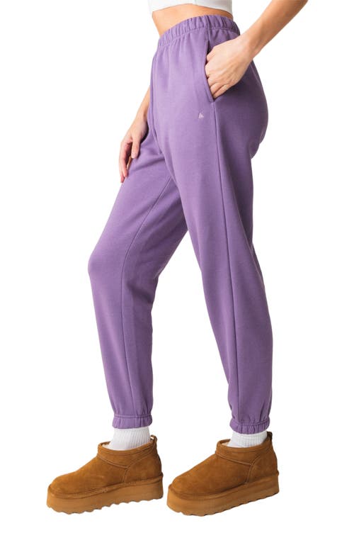 Vitality Cozy Uni Jogger In Purple
