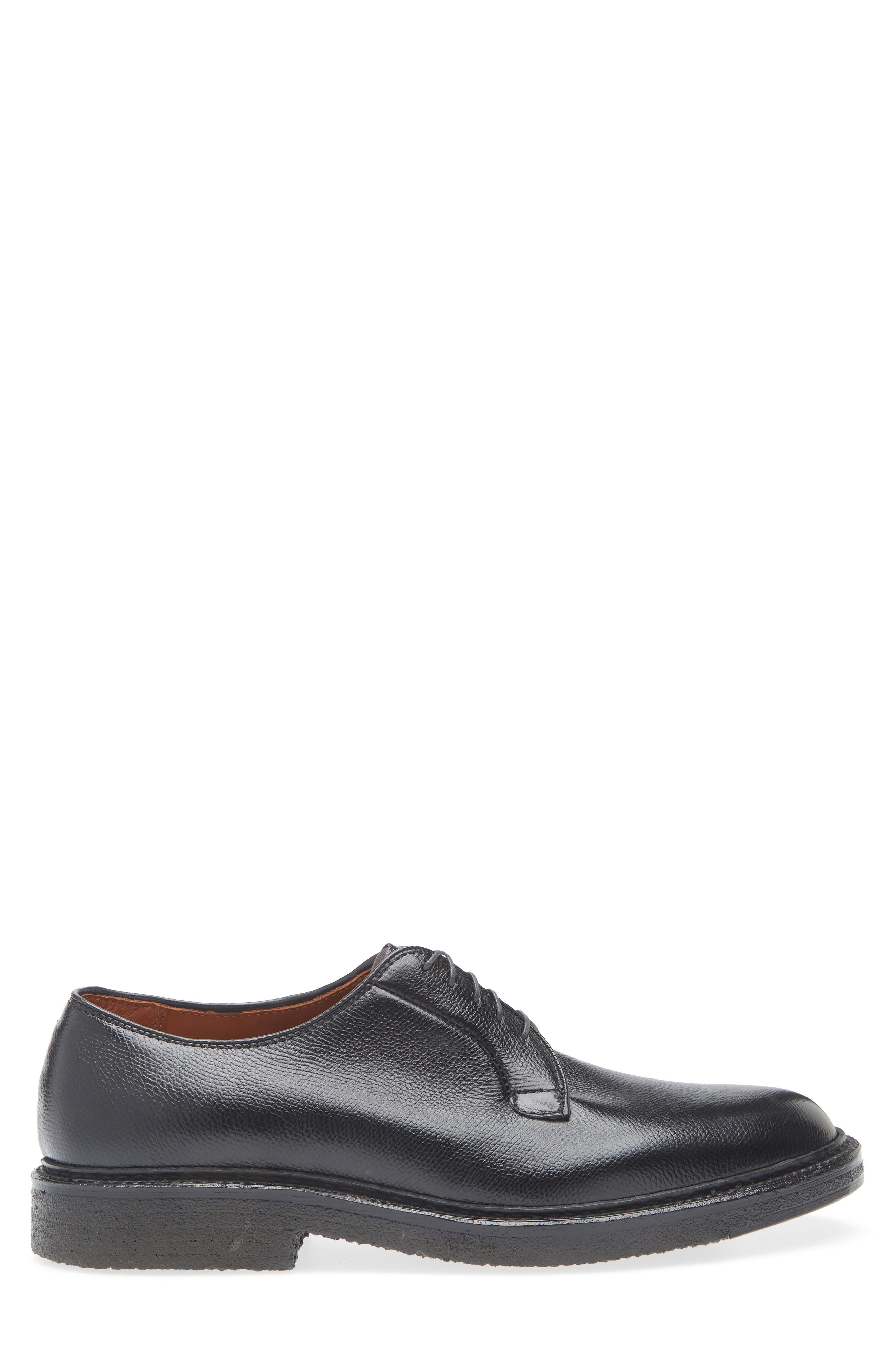 Alden All Weather Plain Toe Derby, Alternate, color, Black