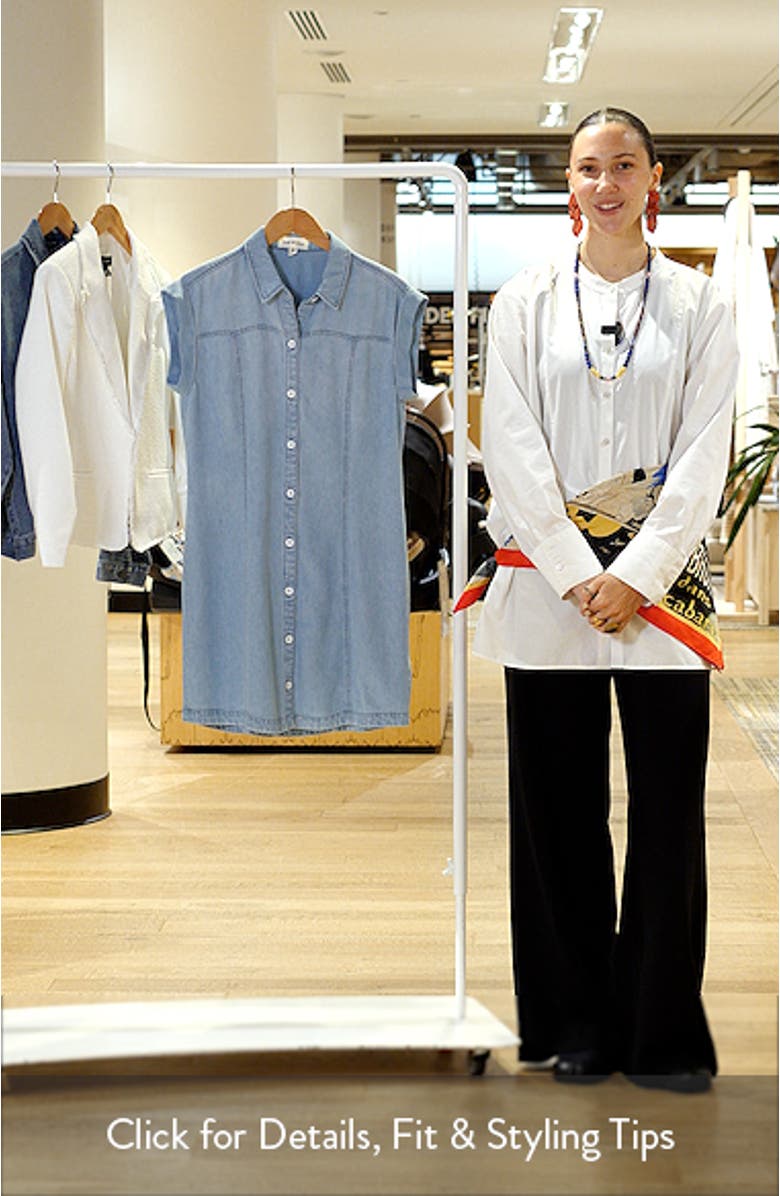 Seamed Denim Dress, sales video thumbnail