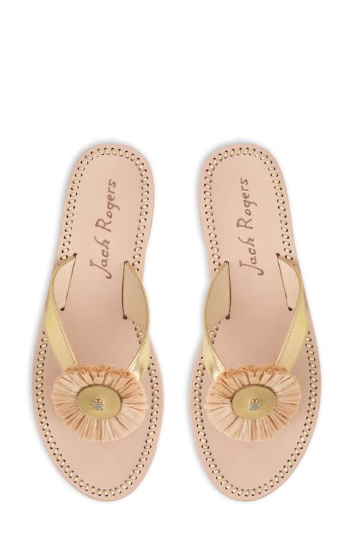 Shop Jack Rogers Cay Flip Flop In Gold/natural