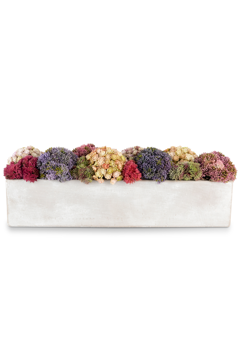 Arden Oblong Sedum Arrangement, Main, color, Multi-Color