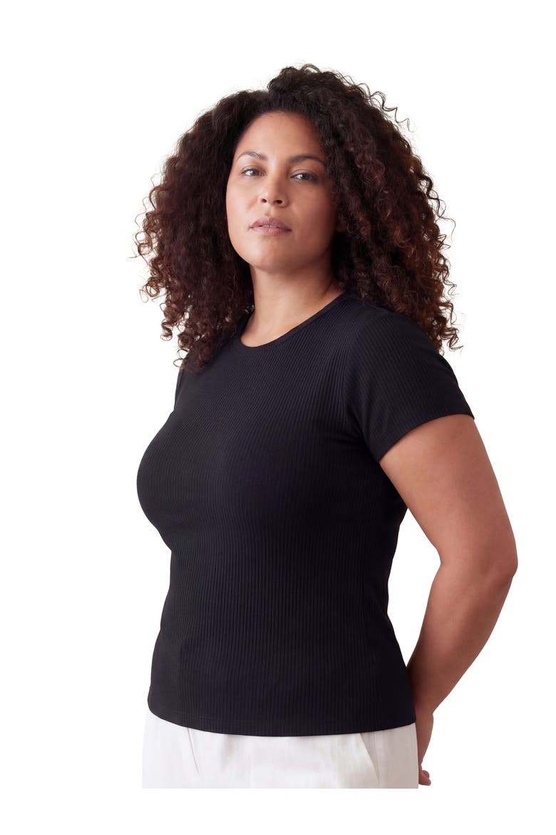 Curvy Basic Ribbed Knit Round Neck Short Sleeve Top, Alternate, color, Black