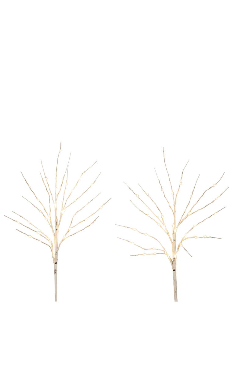 NEARLY NATURAL 24-in Pre-Lit Artificial White Birch Branches with 80 Warm White LED Lights - Set of 2, Main, color, White