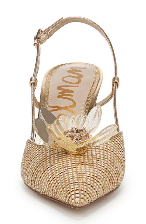 Sam Edelman Mali Slingback Pointed Toe Pump In Sand Dune Multi