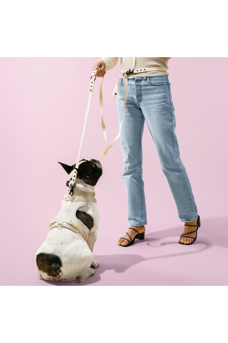 Luna Adjustable 6-in-1 Waterproof Hands-Free Leash and Collar with LED Flashlight, Bag Dispenser, and Poop Bag Holder, Alternate, color, Almond