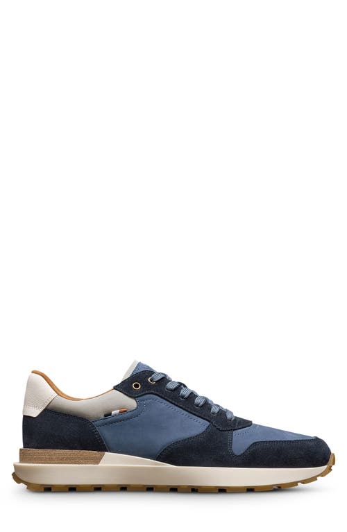 Allen Edmonds Lionel Lace-up Sneaker In Navy