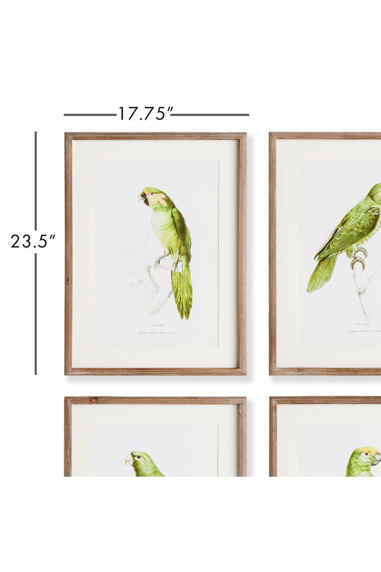 17.75"W x 1"D x 23.5"H Parrot Illustrations In Green Framed Wall Art Set of 4, Alternate, color, Green