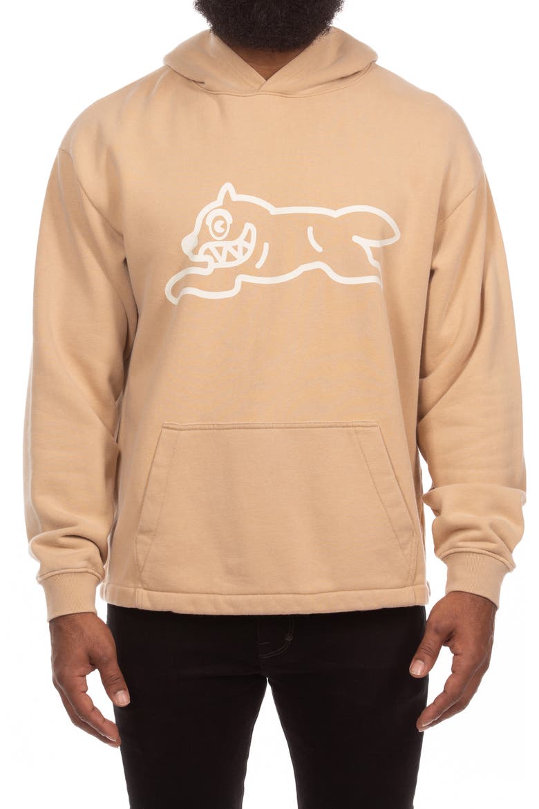 Run Logo Cotton French Terry Hoodie, Main, color, INCENSE