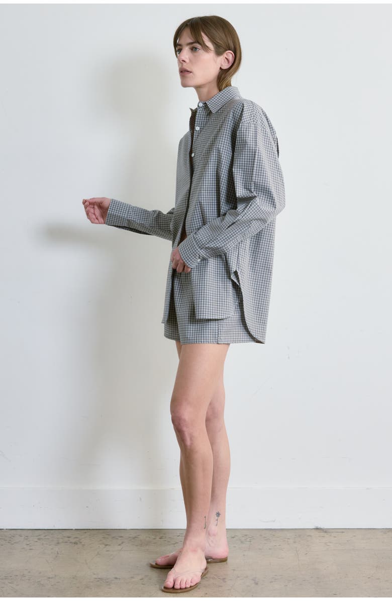 Almina Concept Oversized Cotton Shirt, Alternate, color, Grey Stripe