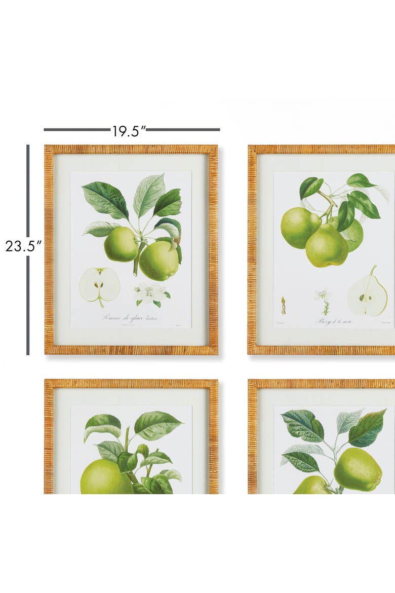 Fruit Study Set of 4, Alternate, color, Green