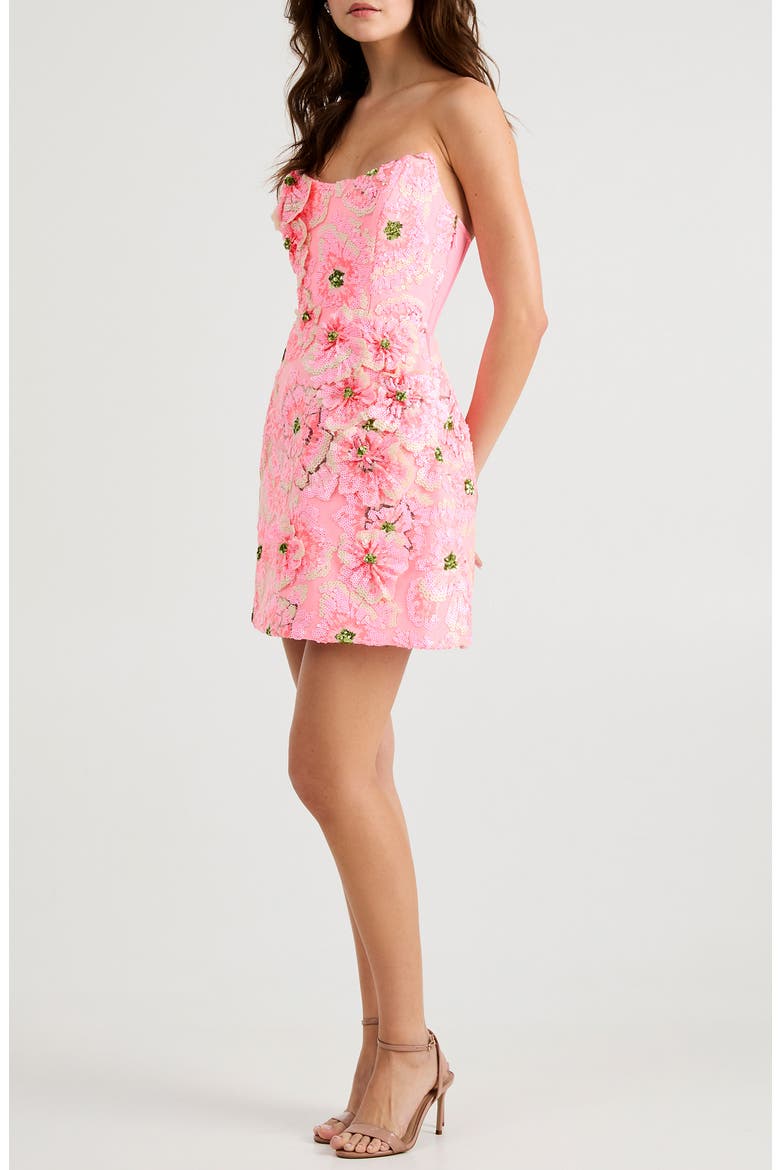 Ariana 3D Floral Appliqué Fit & Flare Cocktail Minidress, Alternate, color, SALMON FLORAL