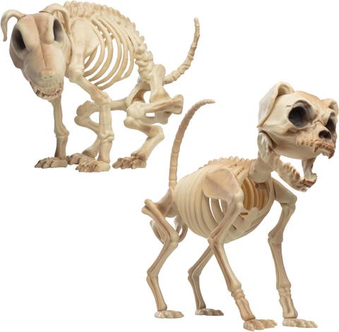 Skeleton Dog Value Pack - 9" Dog Skeleton Decorations - Canine Skeleton Props