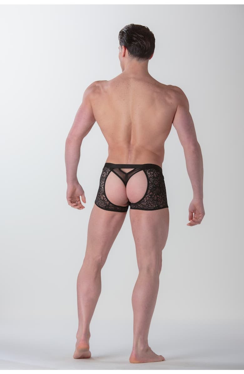 WOH Pure Seduction Boxer String, Alternate, color, Black
