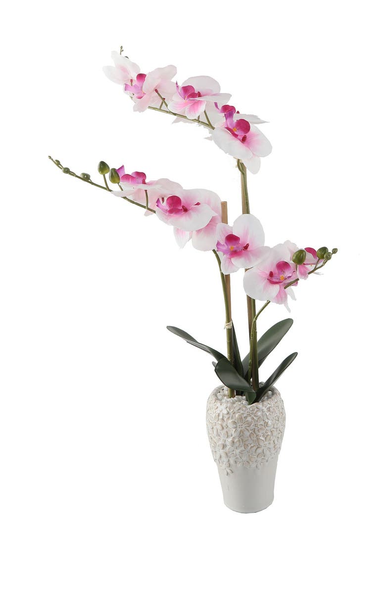 FLORA BUNDA 20" Real-Touch Orchid in 5" x 8" Ceramic Vase, Main, color,