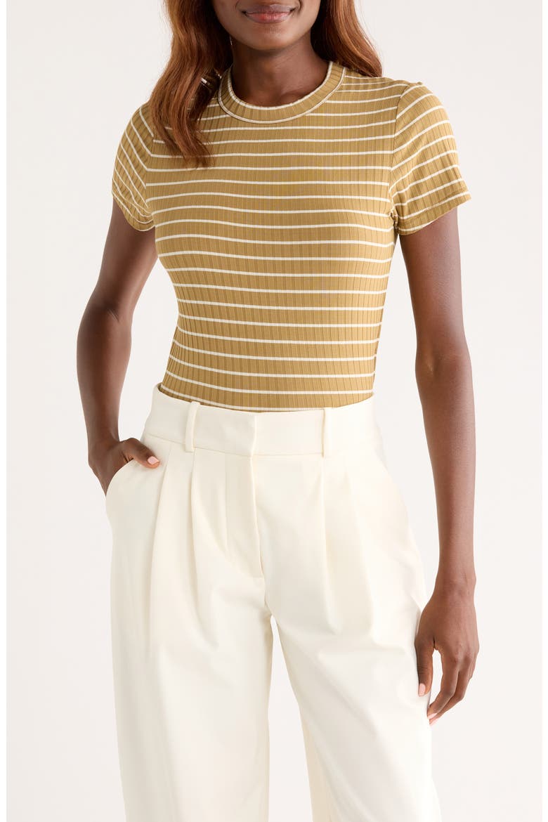 Luca Stripe Rib Baby T-Shirt, Main, color, KHAKI