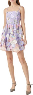 Endless Rose Floral Embroidered Fit & Flare Minidress