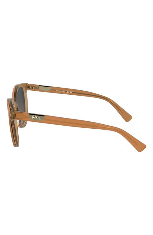Longchamp Le Pliage 52mm Gradient Round Sunglasses