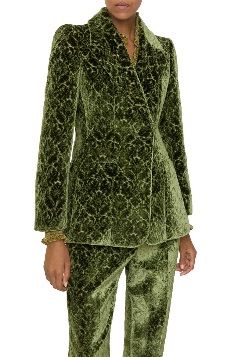 Baroque Velvet Blazer, Alternate, color, MOAT IP PATTERN