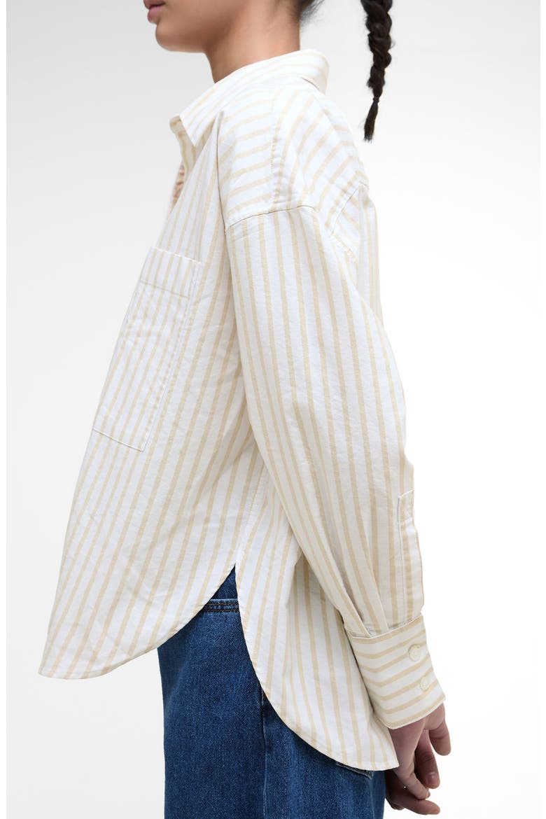 Lavensdale Cotton Oxford Shirt, Alternate, color, PALE CAMEL STRIPE