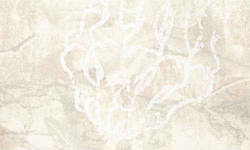 Rolling Loud Sketch Camo Graphic T-shirt In Multi