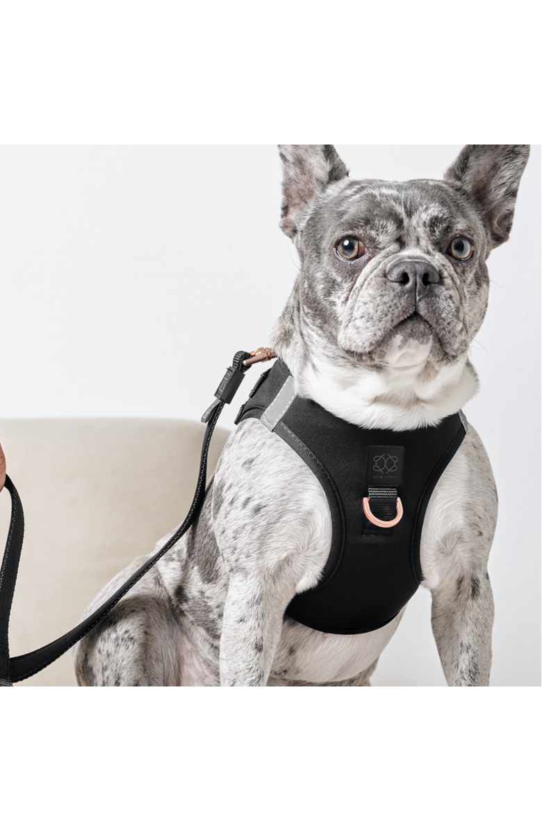 Dogistry SoHo Dog Harness, Alternate, color, Black - Extra Large