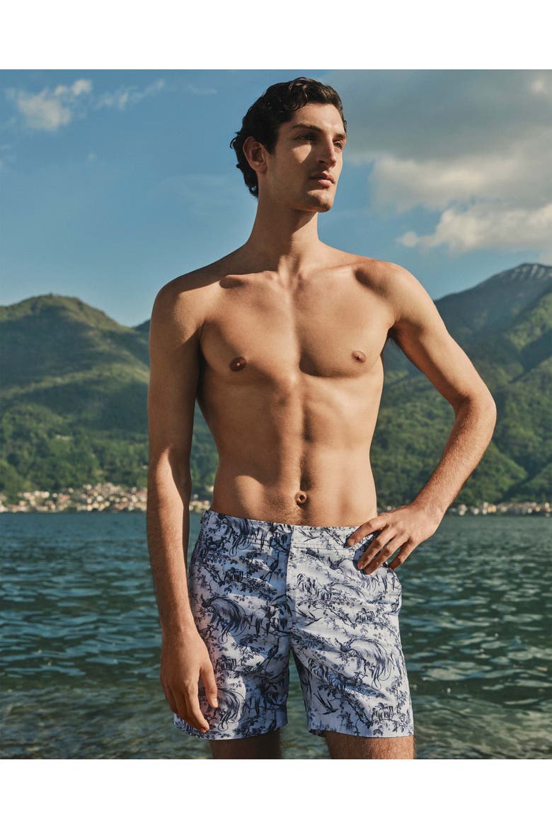 Bulldog Mid-Length Zephra Printed Swim Shorts, Alternate, color, Aero Blue