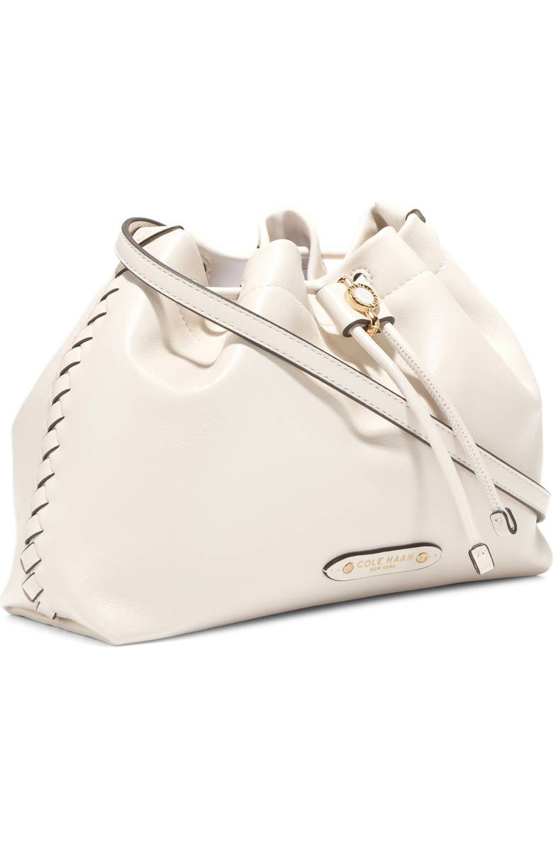 Cole Haan Mini Isabella Leather Crossbody Bag, Alternate, color, Ch Powder