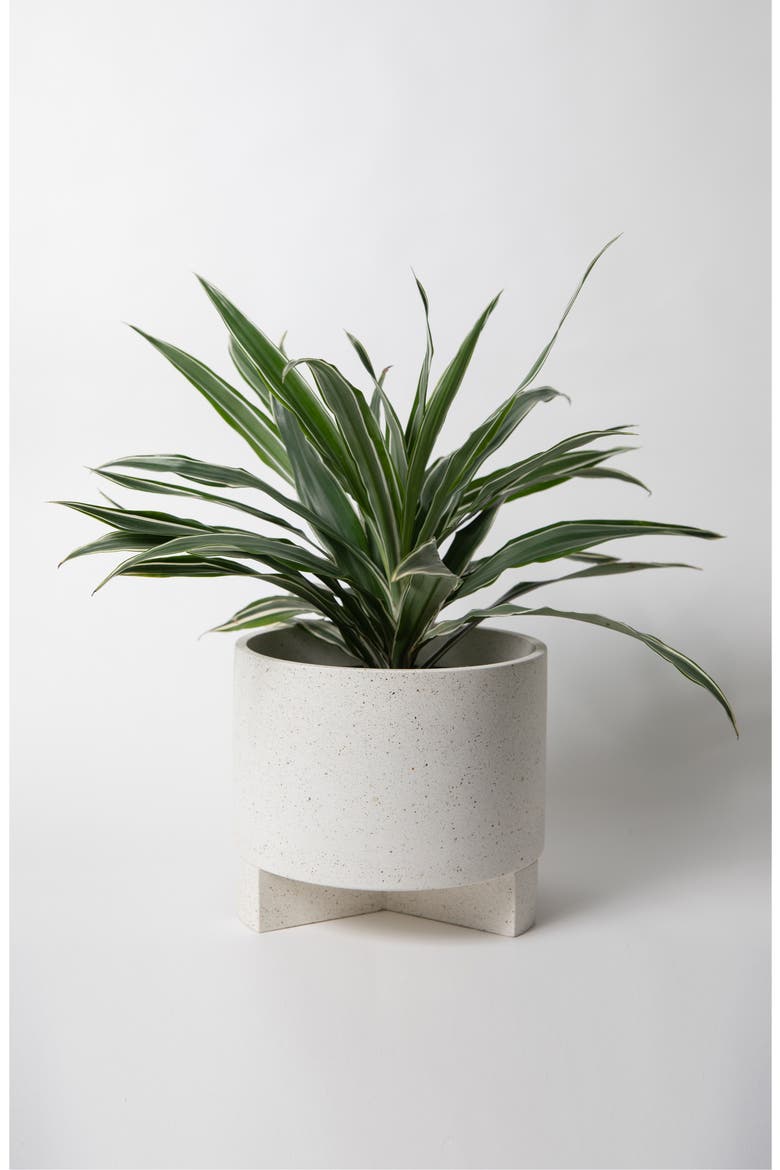 Large Planter, Alternate, color, WHITE TERRAZZO
