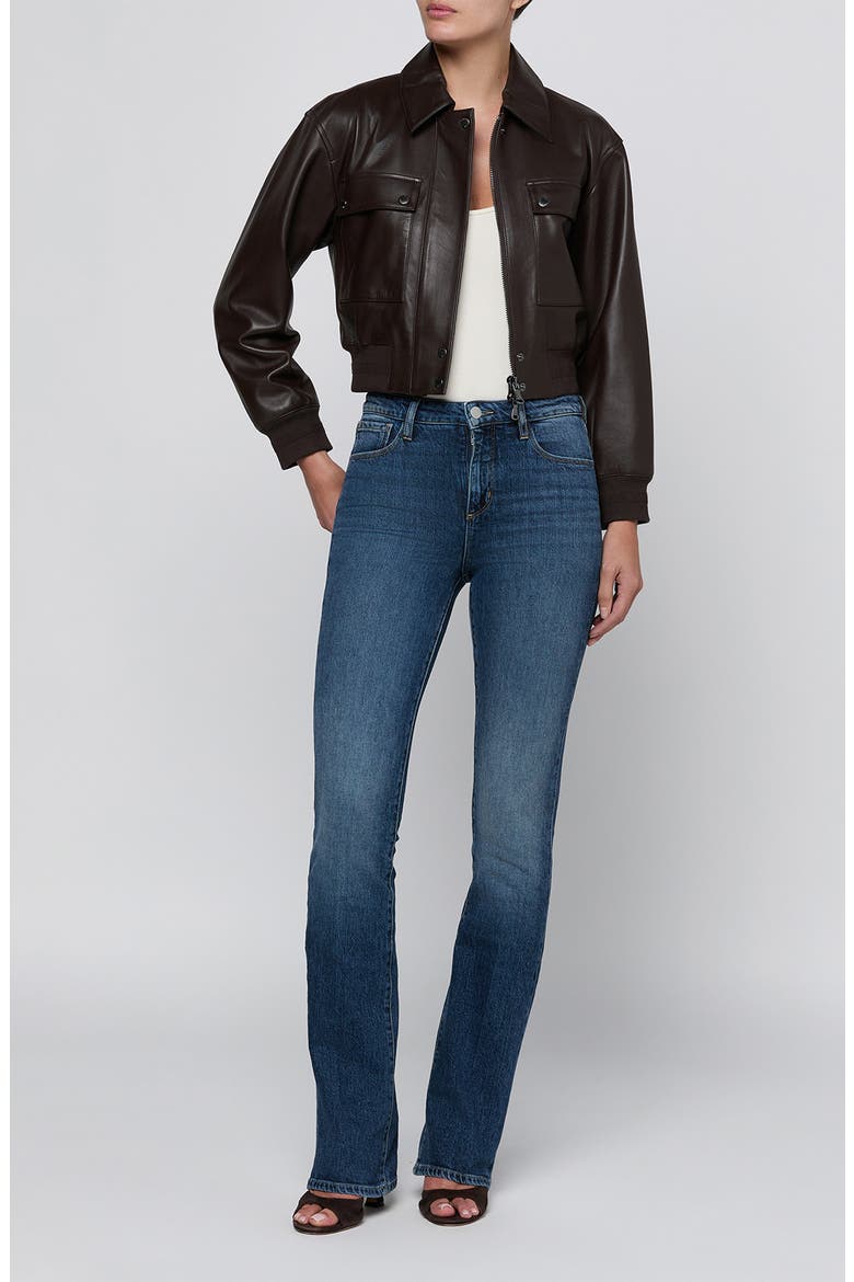 Clotilde Leather Bomber Jacket, Alternate, color, BRUNETTE