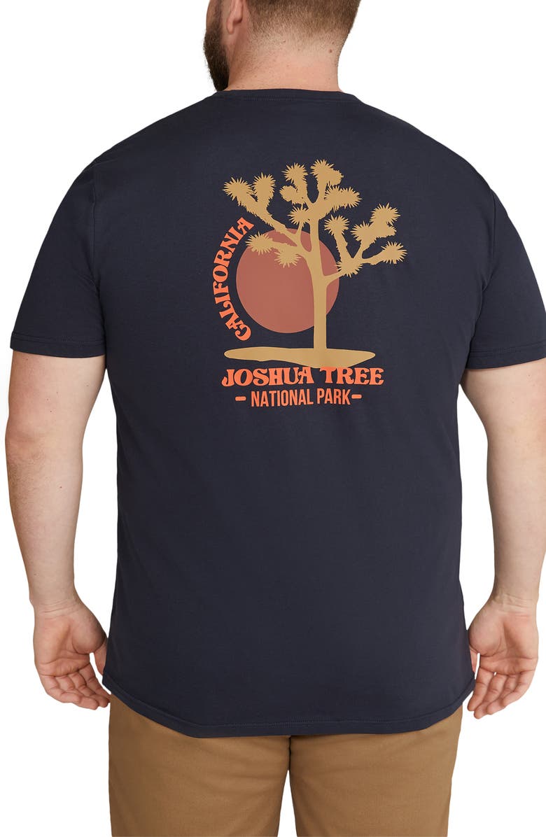 Johnny Bigg Joshua Tree Organic Cotton Graphic T-Shirt, Alternate, color, 