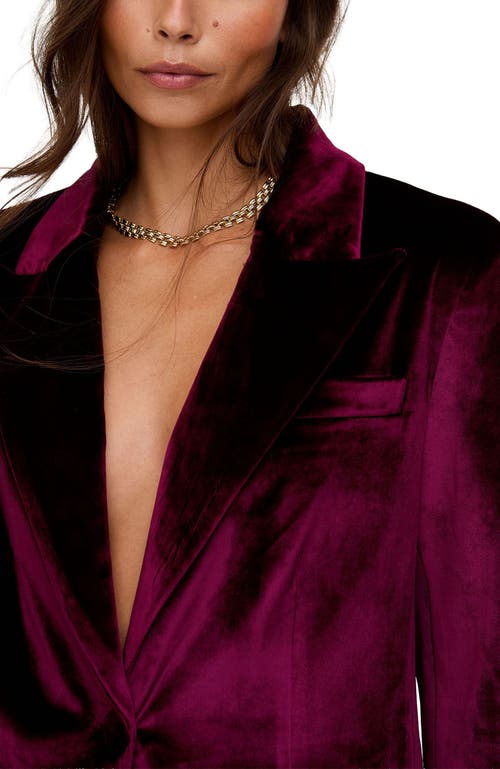 Lily And Lionel London Valerie Tailored Velvet Blazer In Multi