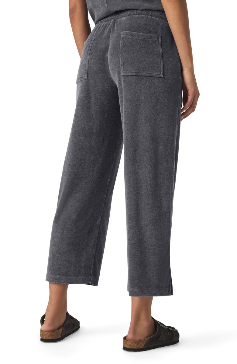 Splendid Taryn Terry Crop Pants, Alternate, color, Ink