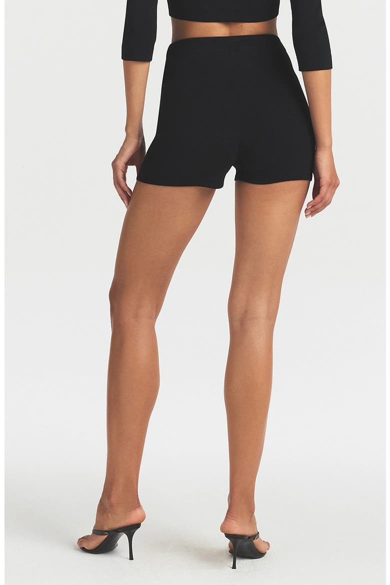 The Essential Collection High Waisted Hot Shorts, Alternate, color, ONYX