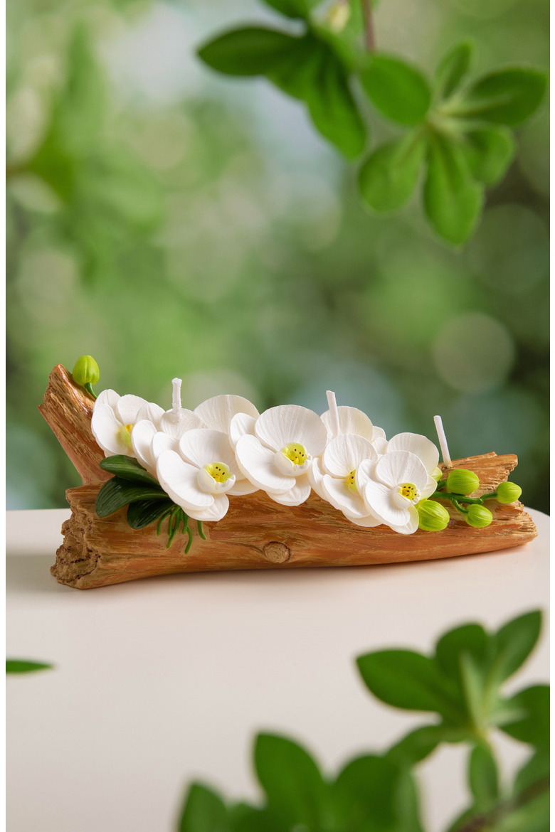 Orchid Arrangement Candle, Alternate, color, White